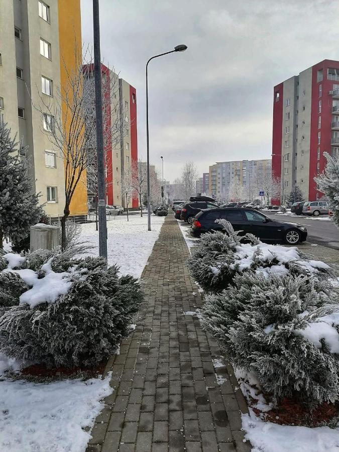 Apartment Richy Brasov Exterior photo